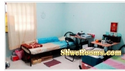 One Common  room for rent