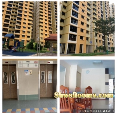 ONE MALE TO SHARE ONE COMMON ROOM AT NEAREST PIONEER MRT