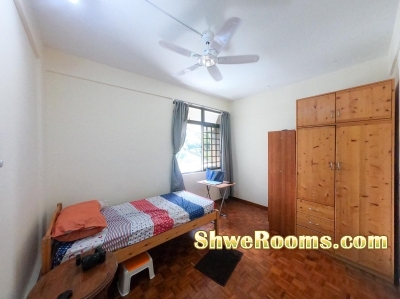 Whole Common Room for single tenant at Cashew Park Condo(5 mins walk to Cashew MRT)