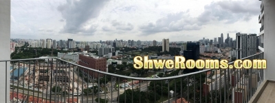 One male sharing Condo Room at Spottiswoode Suites