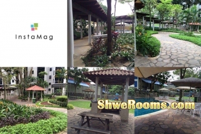 ðŸ¡ðŸ¡ðŸ¡ 1St of Oct Short Term also welcome  ### Single room @ Regent Heights Condo , Bukit Batok East Ave 5