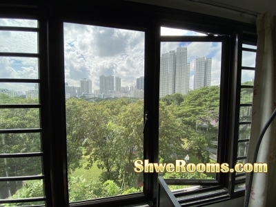 Condominium Master Room for rent at 10L Braddell Hill