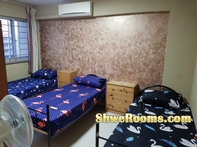 One guy to share master bedroom ( 2 pax per room)