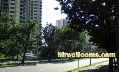 Common Room for Rent Near Lakeside MRT