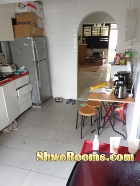 Looking for one lady near Holland village MRT