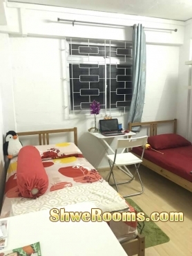 Looking for one lady room-mate to share at Jln Bukit Merah - Tiong Bahru