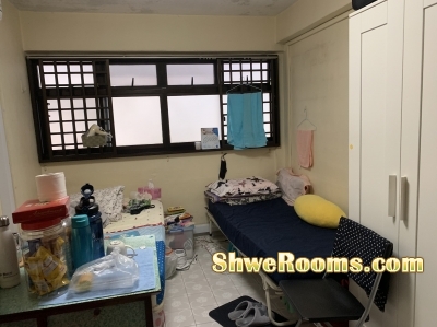 Looking for 1 lady to share common room