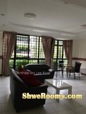 Common Room to Rent @ Upper Changi MRT
