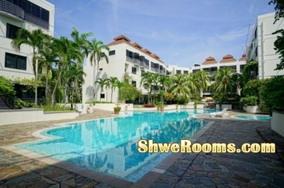 Common Room to Rent @ Upper Changi MRT