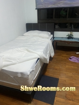 @@@Room for Males , Quiet , Pleasant , Privacy as only 4 persons in the whole flat @@@