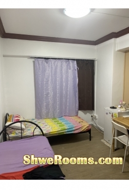One Male for Aircon room at Tampines 