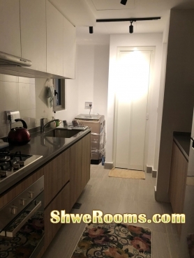 New Condo Master Room Available @ Sengkang Area