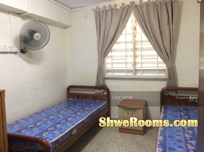 Common Room for Rent at Holland (only one male/female)