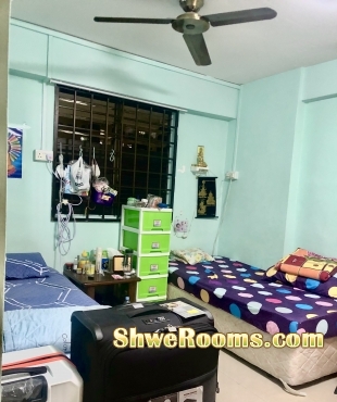 Looking for one male to share common room