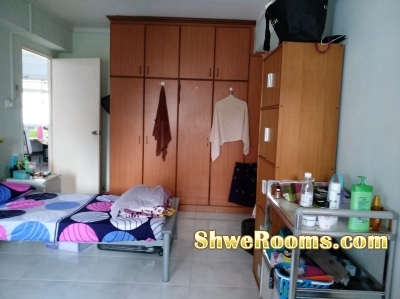 One lady to share Master Bed room 