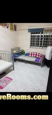 Two Males Sharing For Common Room  without air con(Near Kaki bukit MRT)