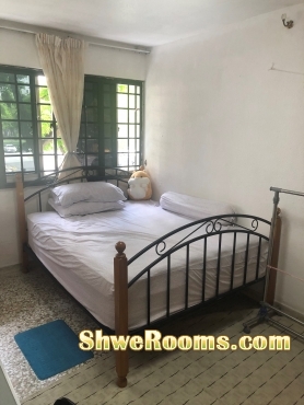 Spacious common bedroom for 1 Lady