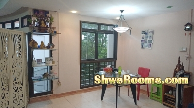 For a Lady Room Mate to sharing a common Rm.