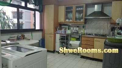 For a Lady Room Mate to sharing a common Rm.