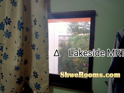 For a Lady Room Mate to sharing a common Rm.