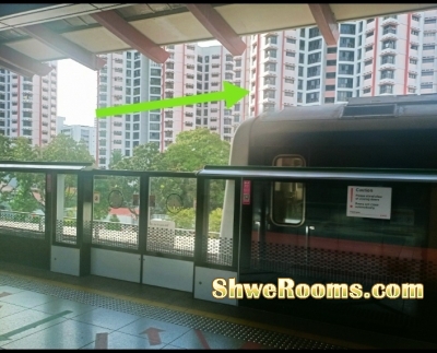 For a Lady Room Mate to sharing a common Rm.