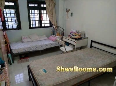 One lady to share HDB Common Bed room 