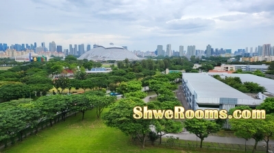 C.room