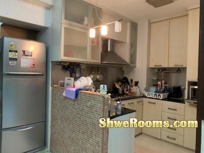C.room