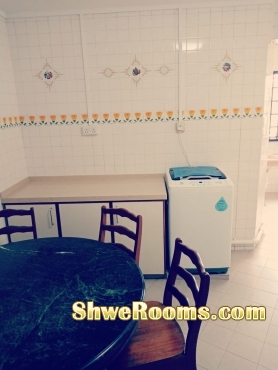 Common Room (looking for one male roomate) - (6min) Dakota/Mountbatten MRT - Male Only