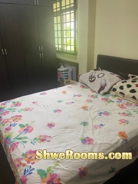 Common Room For Rent @ Woodlands