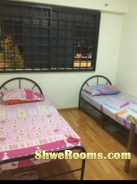 ^^^ Long stay One lady for one Common room @ near boonlay MRT ^^^