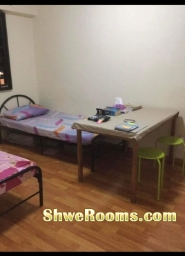 ^^^ Long stay One lady for one Common room @ near boonlay MRT ^^^