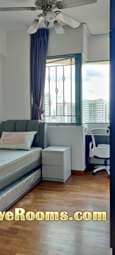 Common room for rent at Choa Chu Kang, Palm Gardens Condo.