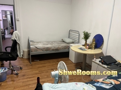 Short term available for 1 male at common room