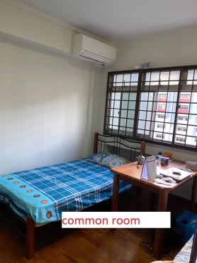 Look for 1 male ( S$550 including PUB ) in common room 