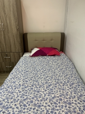 Nice big room for 1 lady roommate at Commonwealth Cl