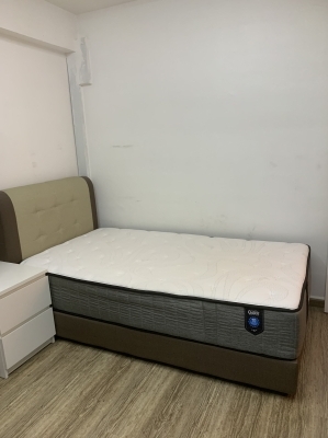 Nice big room available for one lady roommate at Commonwealth 