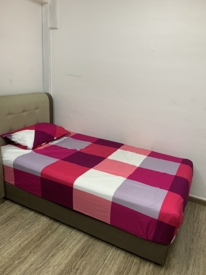 Looking for lady roommate 