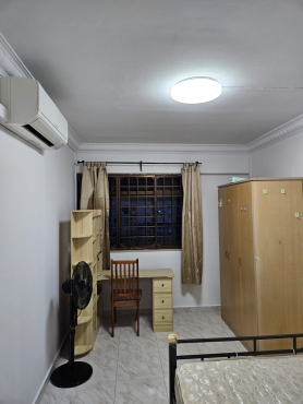 1 Male Roomate
