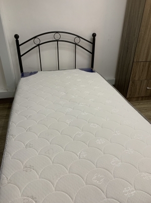 Looking for one lady roommate at Commonwealth 