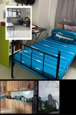Share Common Bedroom at Lavender MRT