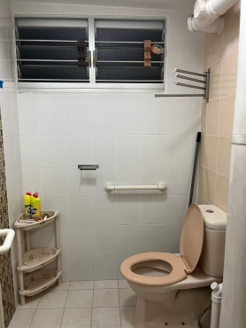 Looking for One Lady Roommate to share at Common Room