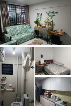 1 Male (ကျောင်းသား $၅၅၀ / ၀န်ထမ်း $600net @Lakeside