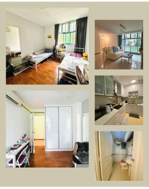 Looking for one lady roommate to share big common room