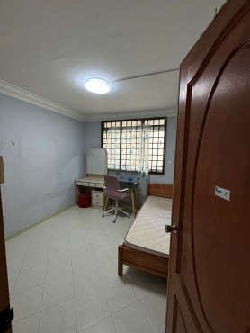 1 Lady Single Room for rent