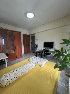 Master room for rent (long/short term)