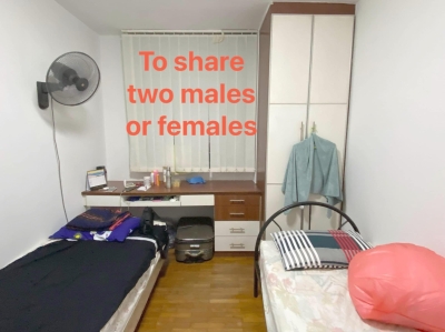 To Rent One Common Room