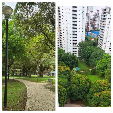 🏠 Single Common Room for one Male or one Female– Jurong East