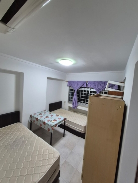 Common Room available for two female/male (long term)