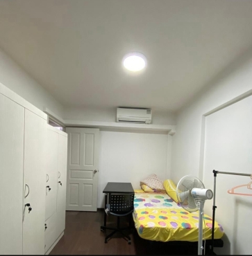 Room For Rent